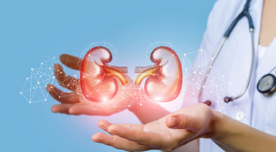 Nephrology